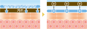 アミノ酸